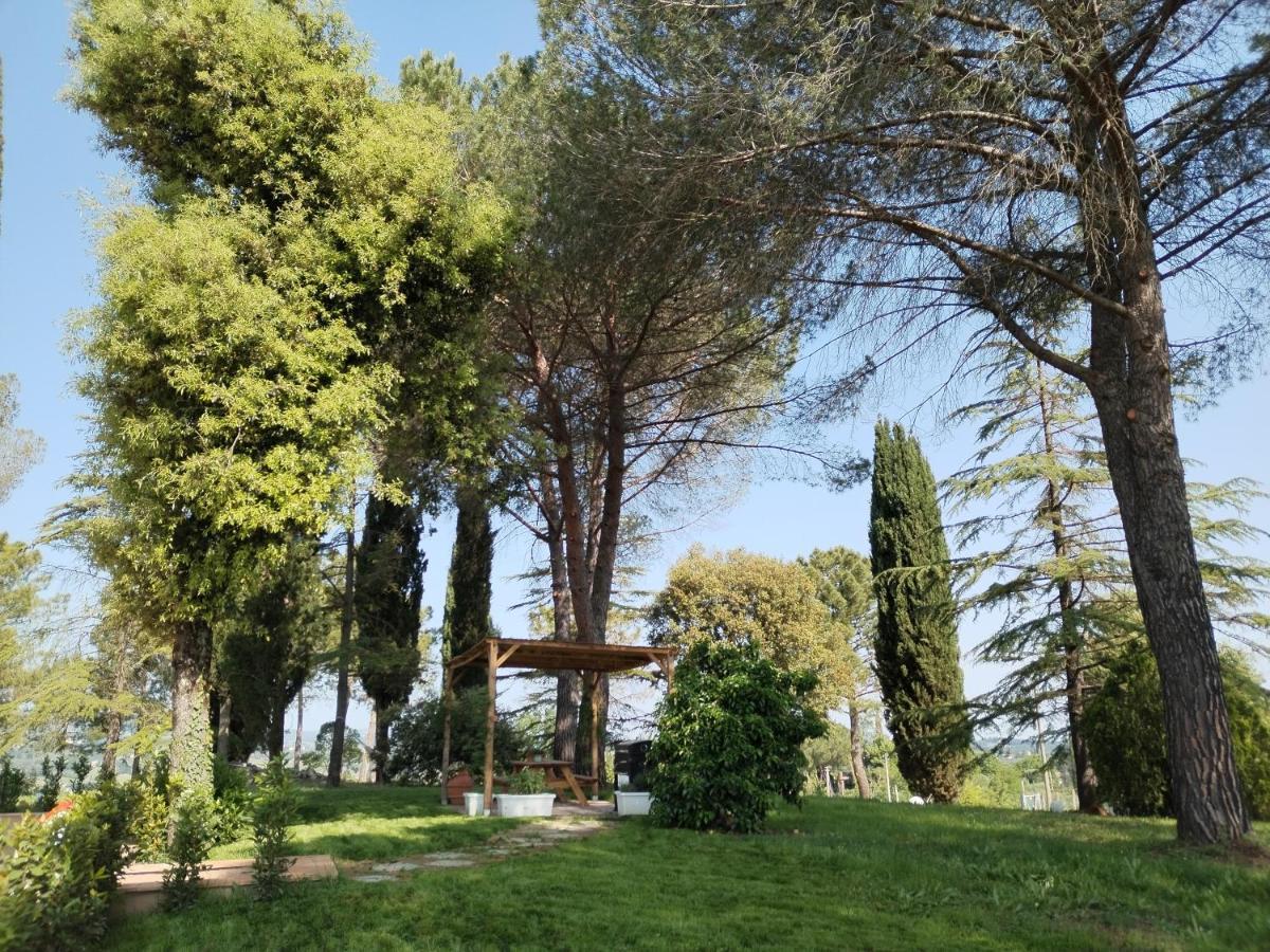 Agriturismo Poggio Rotondo Σαν Τζιμινιάνο Εξωτερικό φωτογραφία